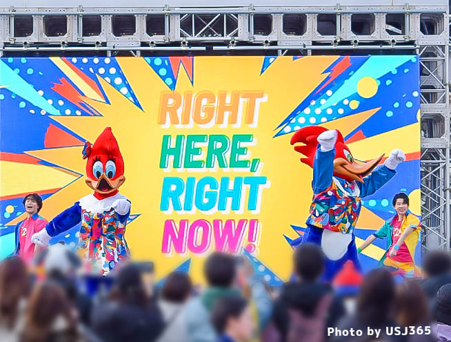 特別観賞エリア