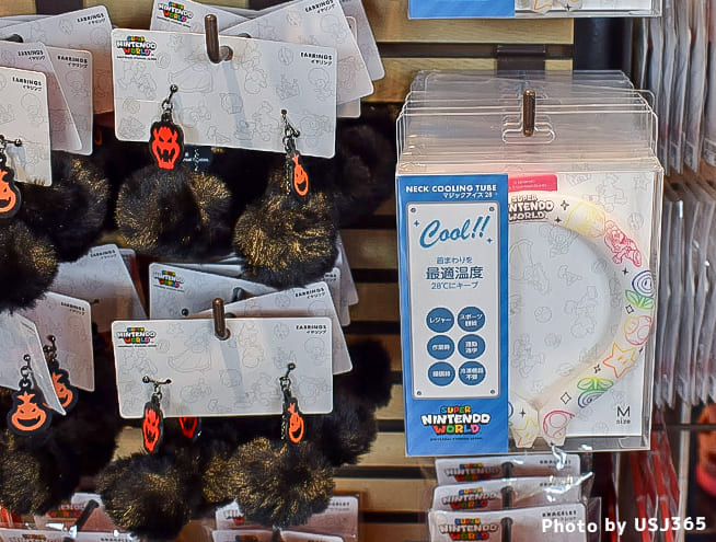 イヤリングとクールネックリング